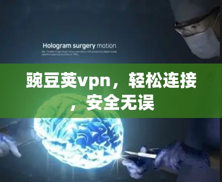 豌豆荚vpn，轻松连接，安全无误