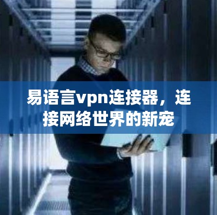 易语言vpn连接器，连接网络世界的新宠