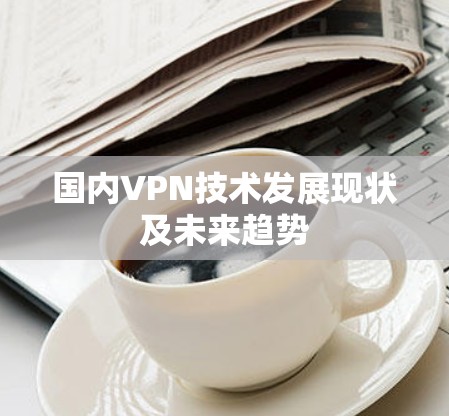 国内VPN技术发展现状及未来趋势