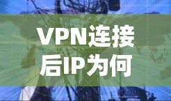 VPN连接后IP为何不变?实际操作中的常见问题