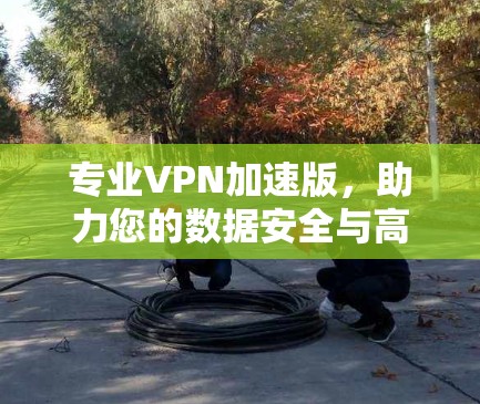 专业VPN加速版,助力您的数据安全与高效传输 专业VPN加速版,助力您的数据安全与高效传输