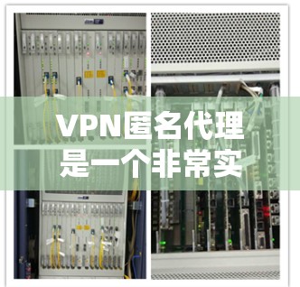 VPN匿名代理是一个非常实用的工具，能够帮助用户访问隐藏的VPN服务，保护个人隐私。以下是对 VPN 网包代理的详细分析和建议