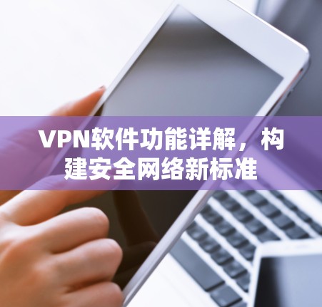 VPN软件功能详解，构建安全网络新标准