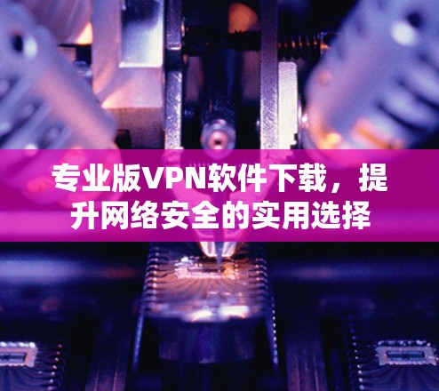 专业版VPN软件下载,提升网络安全的实用选择 专业版VPN软件下载,提升网络安全的实用选择