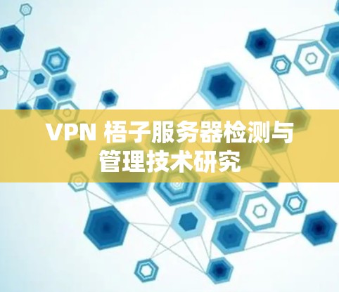 VPN 梧子服务器检测与管理技术研究