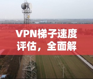 VPN梯子速度评估,全面解析与优化建议 VPN梯子速度评估,全面解析与优化建议