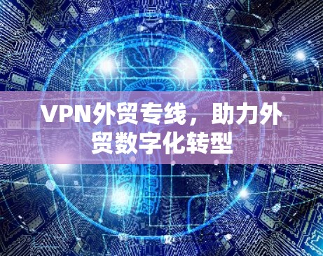 VPN外贸专线,助力外贸数字化转型 VPN外贸专线,助力外贸数字化转型