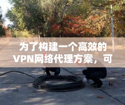为了构建一个高效的VPN网络代理方案，可以按照以下步骤进行
