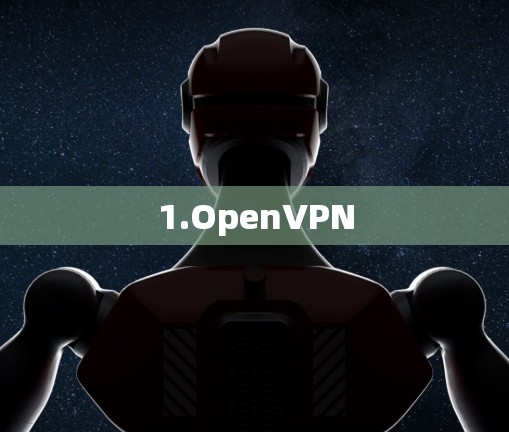 1.OpenVPN
