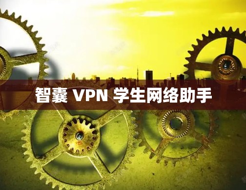智囊 VPN 学生网络助手 智囊 VPN 学生网络助手