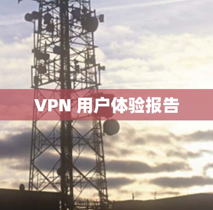VPN 用户体验报告